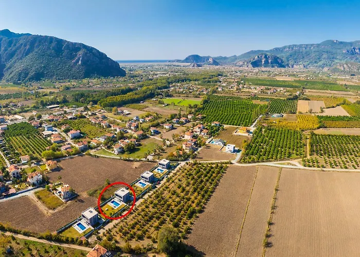 Grand Yasar 3 Okcular